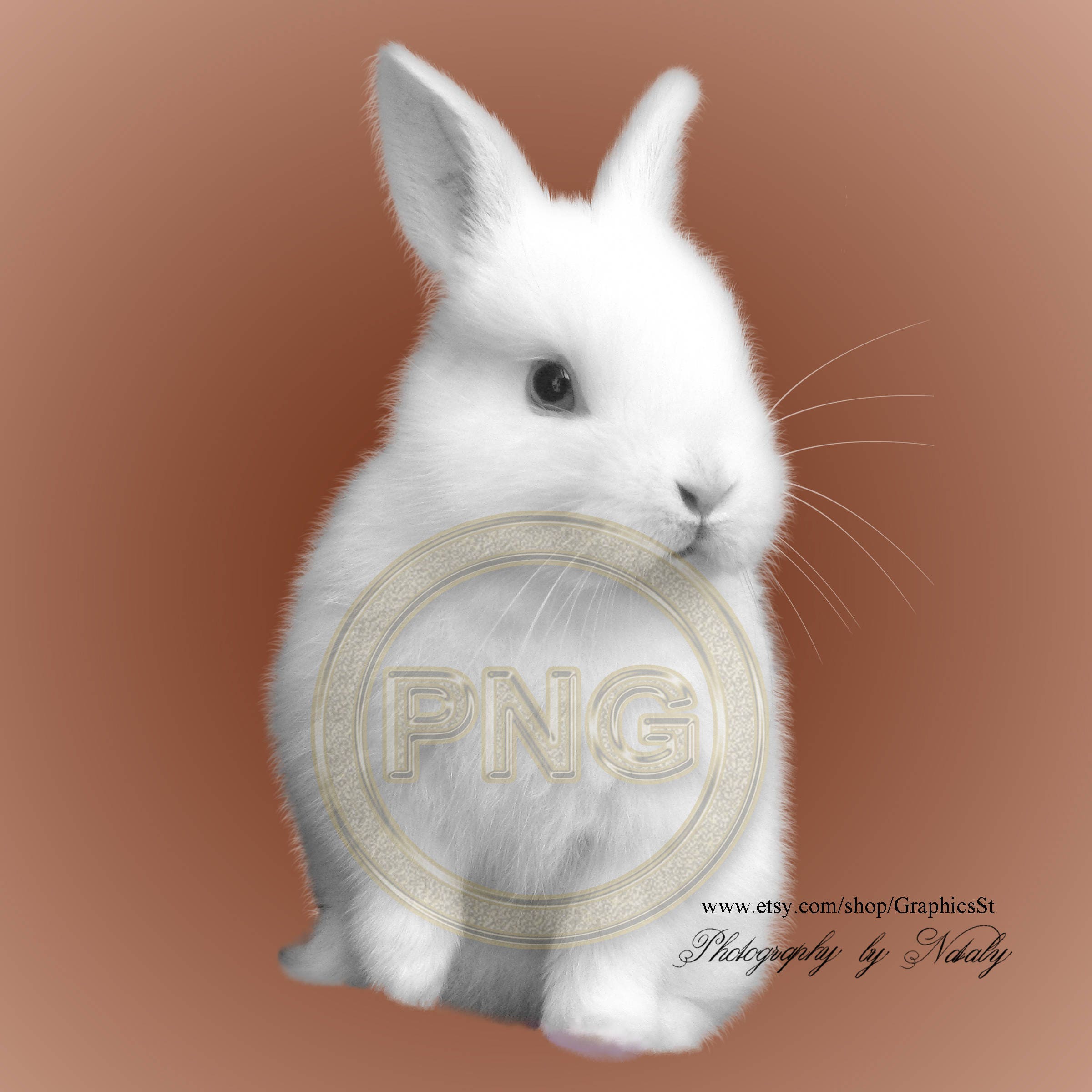 photoshop white rabbit free download