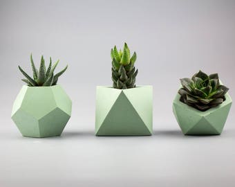 Set of 3 Concrete planters, Succulent planter, Concrete planters, Geometric planter, Air plant holder, Small concrete planter, Concrete Vase
