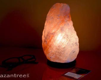 Himalayan Salt Lamp- 10- 15 lbs Natural Rock- with Flat Shipping and UL certified dimmer switch by Hazantree