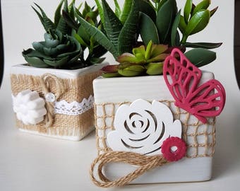 Decorative fatty plants with square base. Size 8 x 8 cm