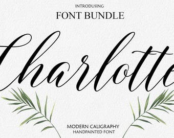 Font Bundle Digital font Brush Script Digital download swash font Handwritten font modern calligraphy font wedding font Cricut Swirly Font