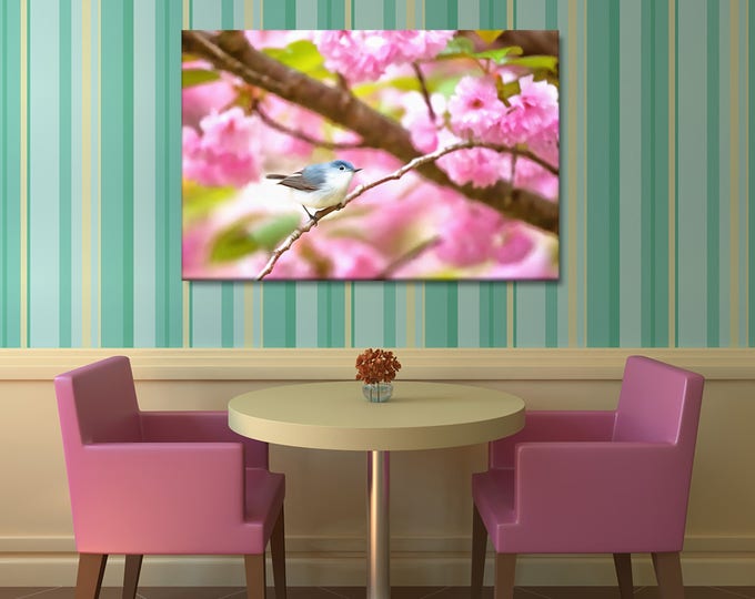 Bird In Blossom canvas, Small Birds Posters, Washington Township canvas, Interior decor, room decor, print poster, art picture, gift