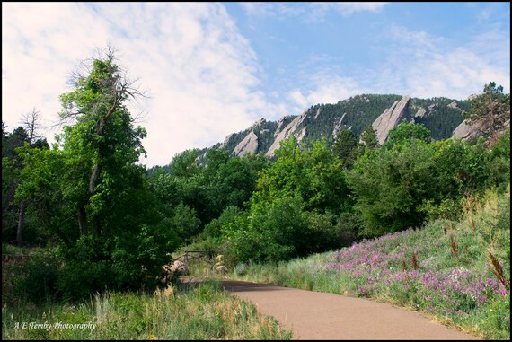 boulder trail mid wp