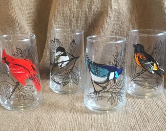 Bird Glasses 