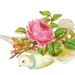 Anne