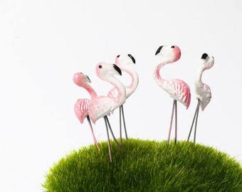 5 Tiny Pink Flamingo/ Miniature Flamingo/ Flamingo Terrarium Accessories