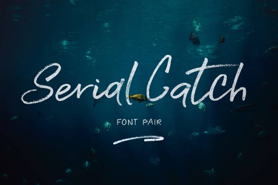 Calligraphy Font, Modern Calligraphy, Digital Fonts, Wedding Font, Invitation Font, Script Font, Digital Download, Serial Catch
