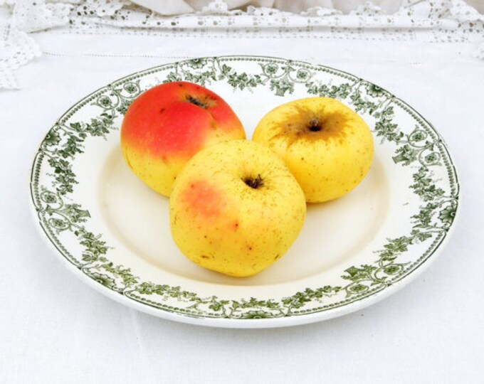 Special listing for Ji Young Hum