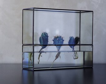 Hydroponic terrarium "HydroTerra" XL