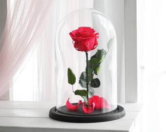 Beauty and the beast rose (Large), Belle Rose, forever pink rose, Enchanted Rose, rose in glass, preserved rose, five year rose