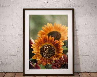Sunflower Wall Art sunflower wall art | etsy Sunflower Wall Art sunflower wall art | etsy