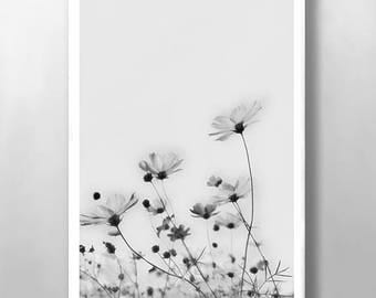 Floral Print, Wall Art, Wild Flower Print, Botanical Print, Vintage Wall Art, Black and White Print, Abstract Print, Kitchen Wall Art, Poppy