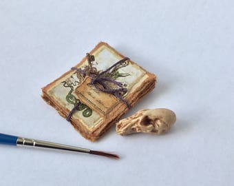 12th scale dragon skull and papers with rusted key