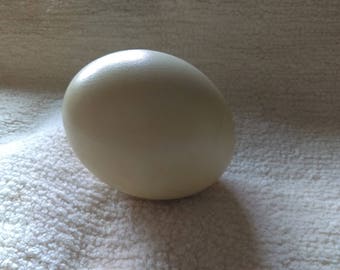 Ostrich Egg, vintage