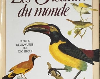 the birds of the world drawings and engravings of the XIX