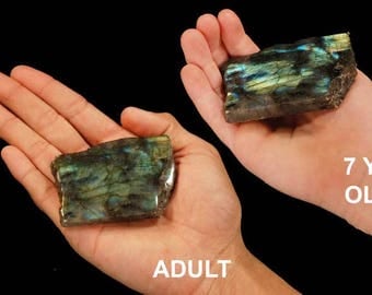 Labradorite Polished Slice 2 1/2 Inch HIGH Flash All Chakras Raw Rocks Rough Mineral Specimen Healing Crystals Chakra Stones Reiki Gemstone