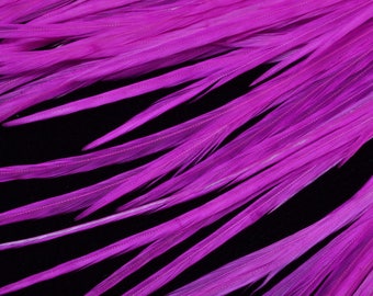 feathers of Rooster feathers hair extension
