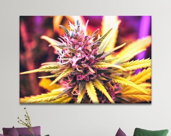 Marijuanas art canvas, Ganja art, flower canvas, Wall Art Canvas Print, Interior decor, room decor, print poster, art picture, gift
