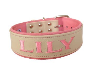 Two inch Personalized Leather Dog collar for large breed dogs - Choose your own color - Free personalized name and phone number