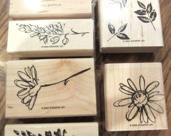 Stampin Up 2004 Two-Step Stampin Petal Prints Rubber Stamp Set