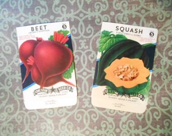 Two 1940s Vegitable Seed Packs Unused Squash and Beet