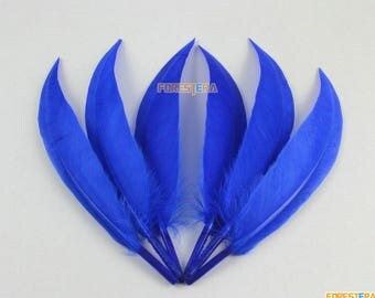 50 Pieces Nave Blue Feather 10-15cm (YM376)