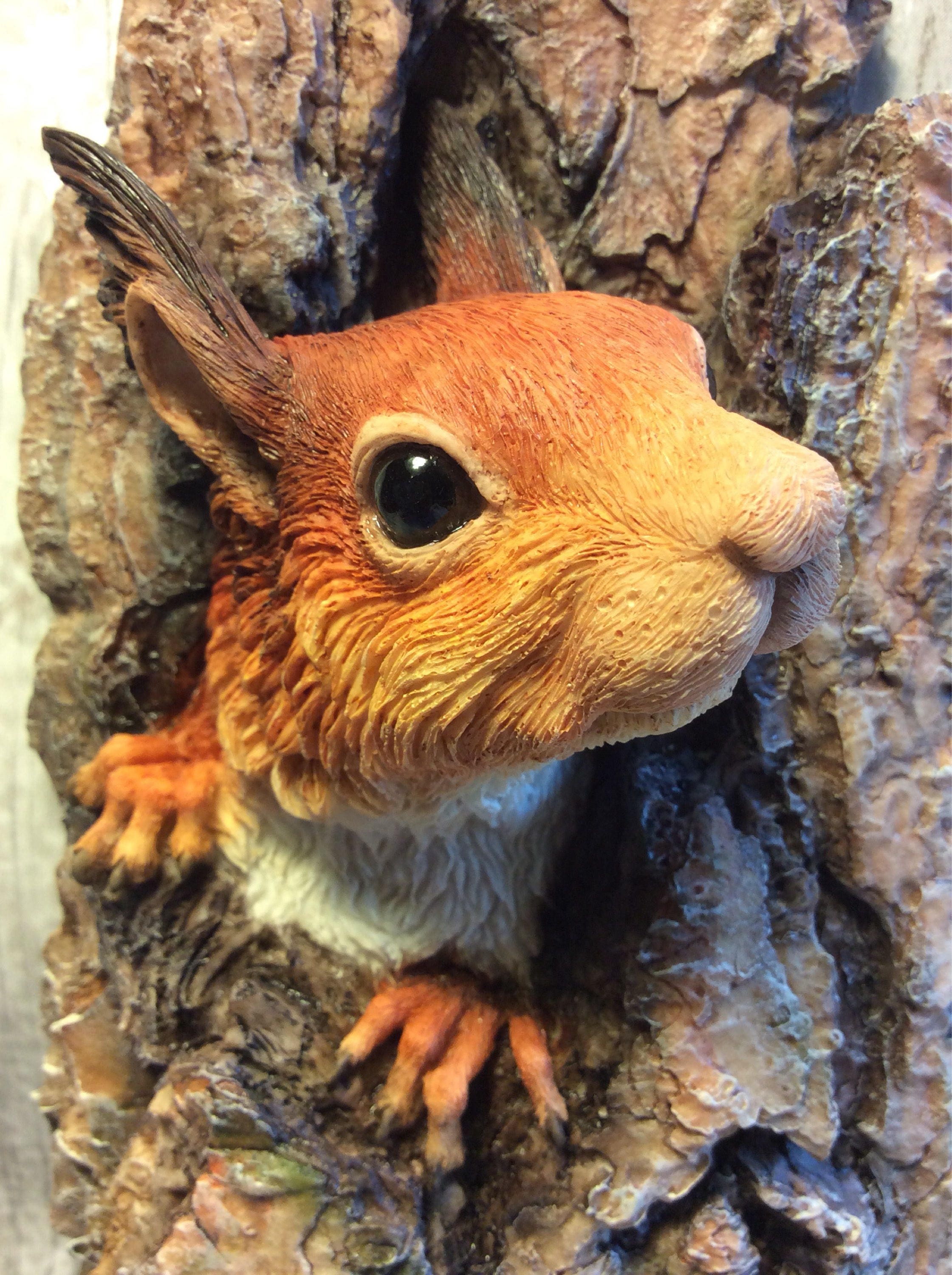 Red squirrel wall sculpture. Wall plaque. Realistic Squirrel