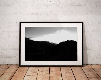 forest photography print / black and white nature art print