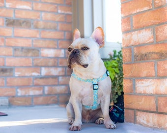 Dog Harness Available in Most Patterns found in our shop. PLEASE READ Item Details before ordering