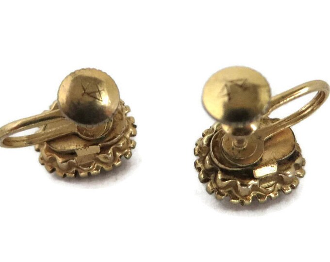 Vargas Rhinestone Earrings - Vintage Blue Rhinestone Screwback Earrings, Gift idea, Gift Box