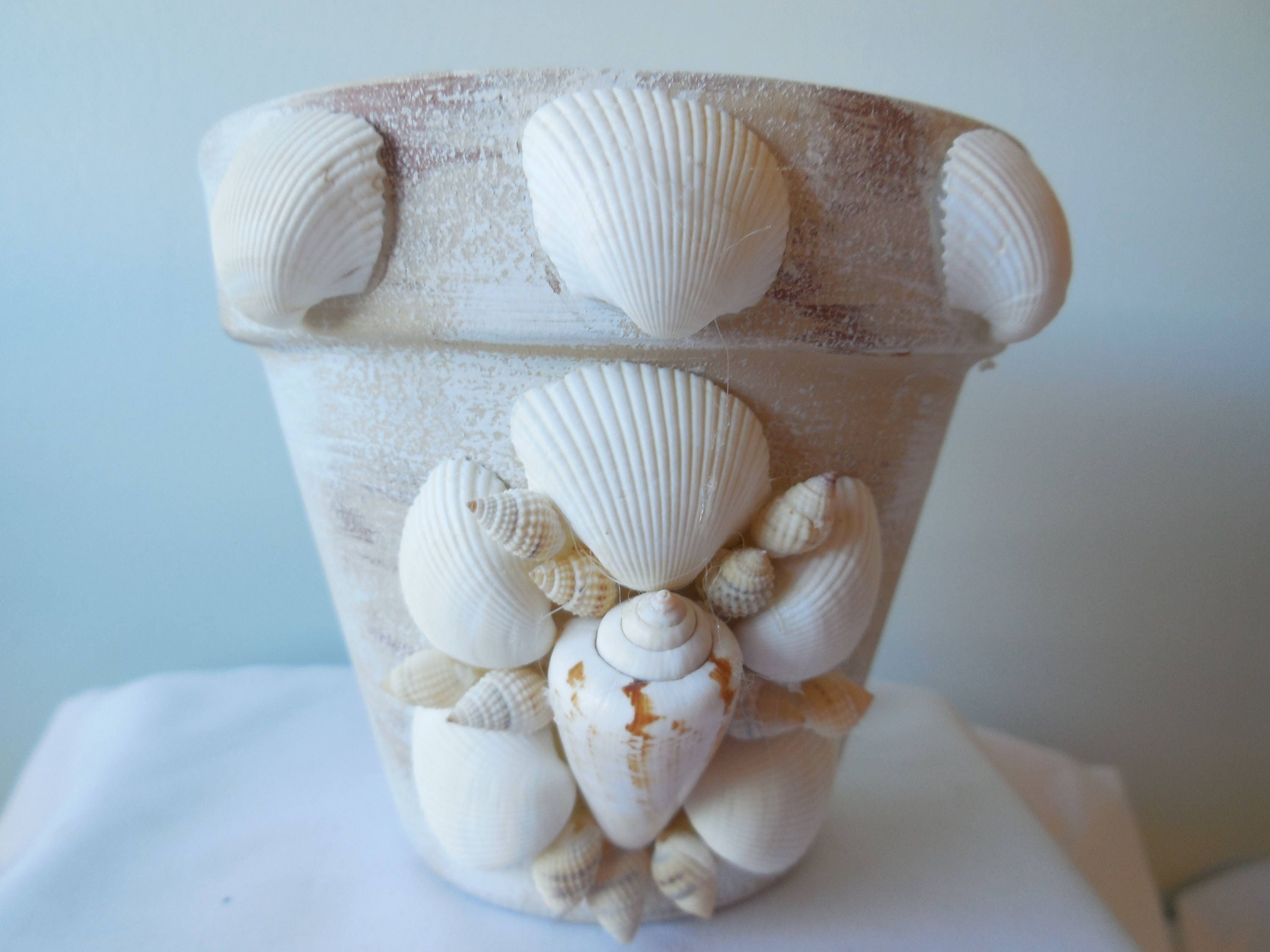 SeaShell Garden Pot Container Seashell Art Flower Pot