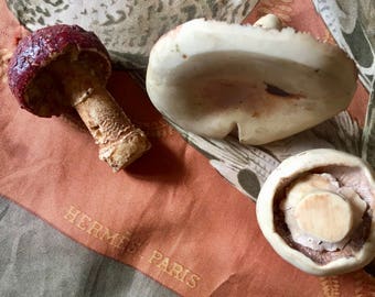 Extremely Rare and Authentic Hermes Hand Painted Ceramic Mushrooms Hermes Scarf Champignon Paris Art Fashion designer home accessories