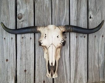 skull, taxidermy, steer, longhorn, decorated skull, skull decor, boho decor, cow skull, skull art, faux taxidermy, chic, country wall art