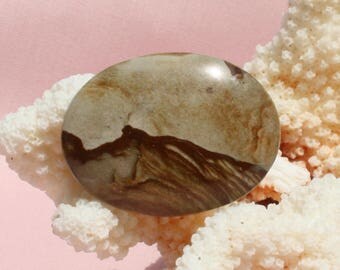 Oval Owyhee Picture Jasper 39 x 29 Cabochon (21)