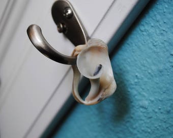 Natural New Zealand Shell Ring / Natural Jewelry / Eco-friendly Jewelry / Hand Polished Shell Ring / 100 Percent Natural / Boho Ring