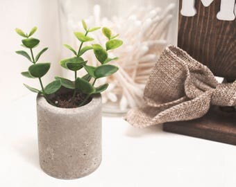 Mini Cement Concrete Succulent Planter