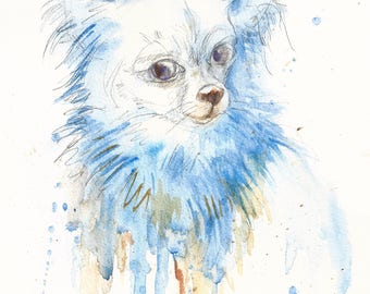 Chihuahua. Mi amor #1
