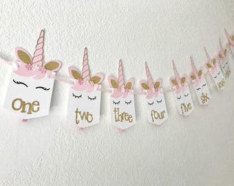 Unicorn 1st Birthday Photo Banner Shabby Chic. First Birthday Decorations. Monthly Photo Clips. Unicorn Kisses.