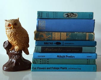 Vintage Decorative Books, Blue, Set of Eight, Hardcover, Bookshelf Decor