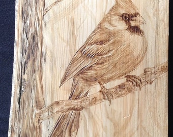 Wood Burning, Pyrography Cardinal on a tree.