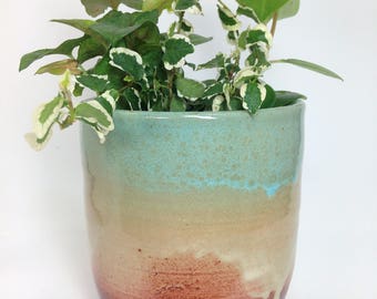 Tall Succulent Planter Ceramic Flower Pot Pottery Cactus Stoneware Tall Succulent Planter Ceramic Flower Pot Pottery Cactus Stoneware