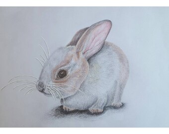 Rabbit Kitten - A4 Print of an original pencil drawing.