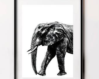 Elephant poster | Etsy