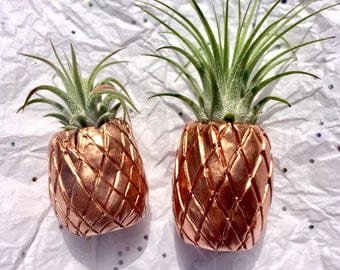 Rose Gold Air Plant Planter Pineapple
