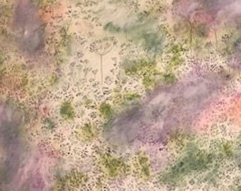 Queen Anne's Lace (With Color)