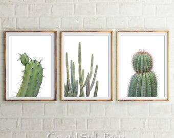 Cactus Print Set, Cactus Prints, Scandinavian Print, Cactus Print, Wall Art, Cactus, Photography Prints, Prints, Cactus Art, Green Print
