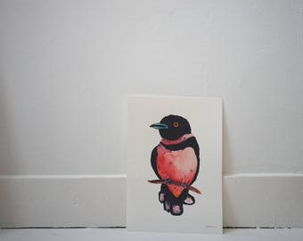 Poster of a colorful bird (animals, poster a4, decorations, illustration)