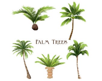 Palm tree clipart | Etsy