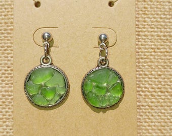 Genuine Sea Glass Cluster Earrings