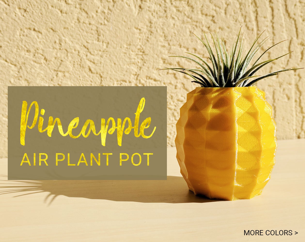 Pineapple Air Plant Holder Pineapple Airplant Geometric Air